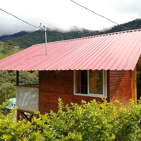 Mario'S Lodge Providencia Copey 外观 照片