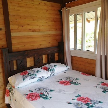 Mario'S Lodge Providencia Copey 外观 照片
