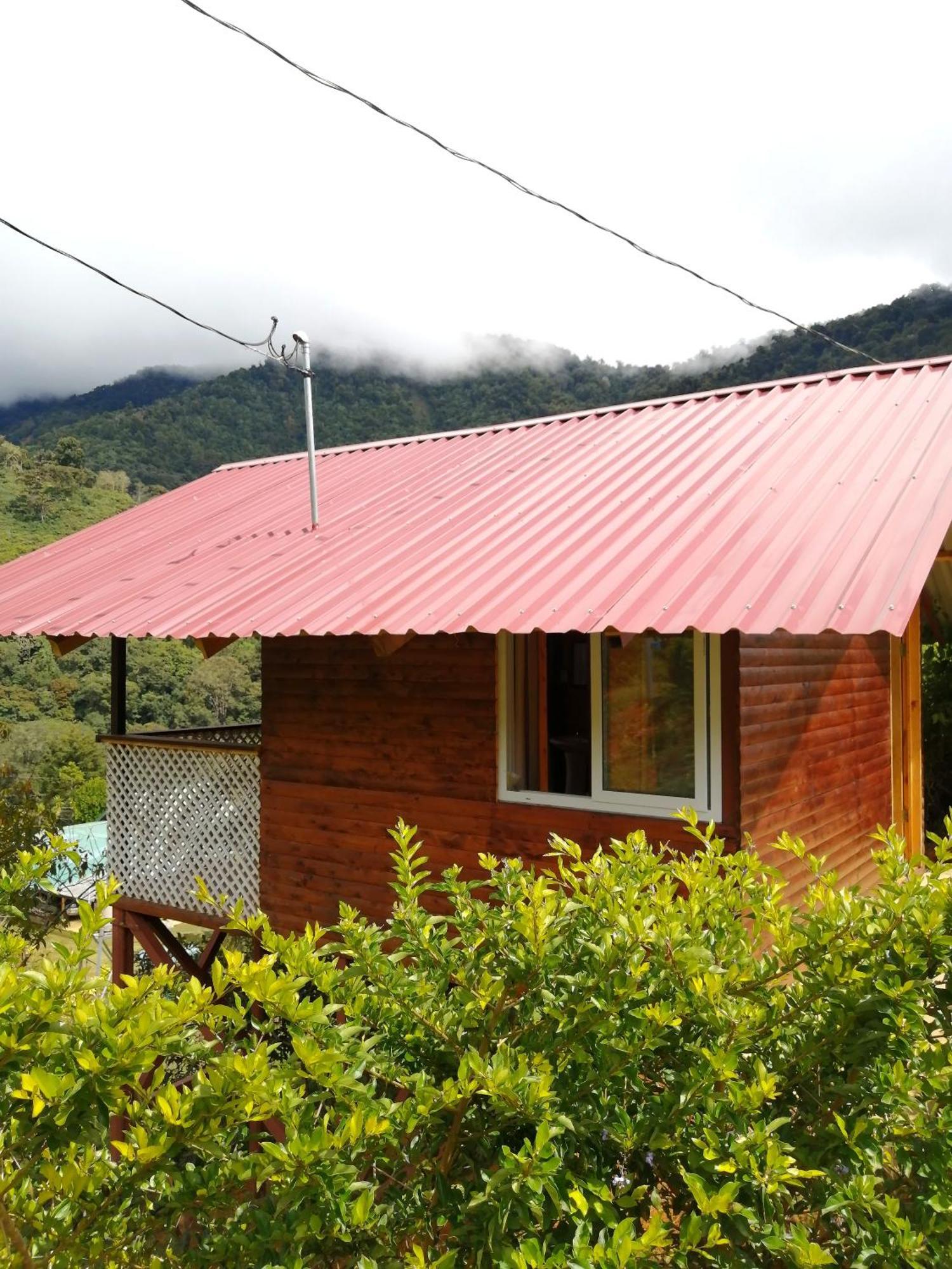 Mario'S Lodge Providencia Copey 外观 照片